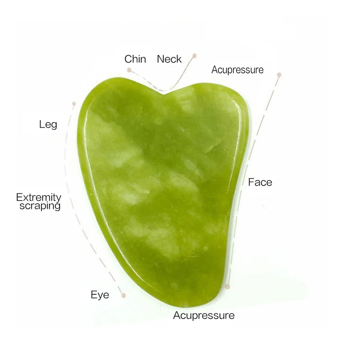 Natural Jade Roller & Gua Sha Set – Facial Massager for Anti-Aging, Puffiness & Skin Care – Spa Beauty Tool for Face & Neck