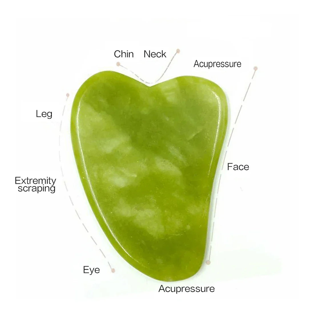 Natural Jade Roller & Gua Sha Set – Facial Massager for Anti-Aging, Puffiness & Skin Care – Spa Beauty Tool for Face & Neck