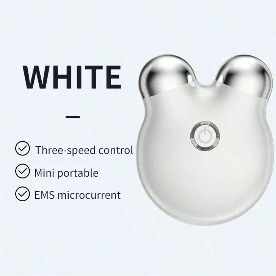 Portable Facial Beauty Roller – Vibrating Skin Toning Tool for Face & Neck